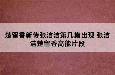 楚留香新传张洁洁第几集出现 张洁洁楚留香高能片段